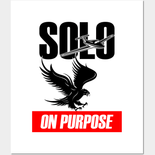 FLY SOLO | 2 SIDED Posters and Art